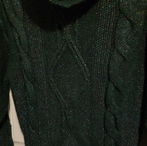 Charter Club, S, Green Metallic - Picture 5 of 5